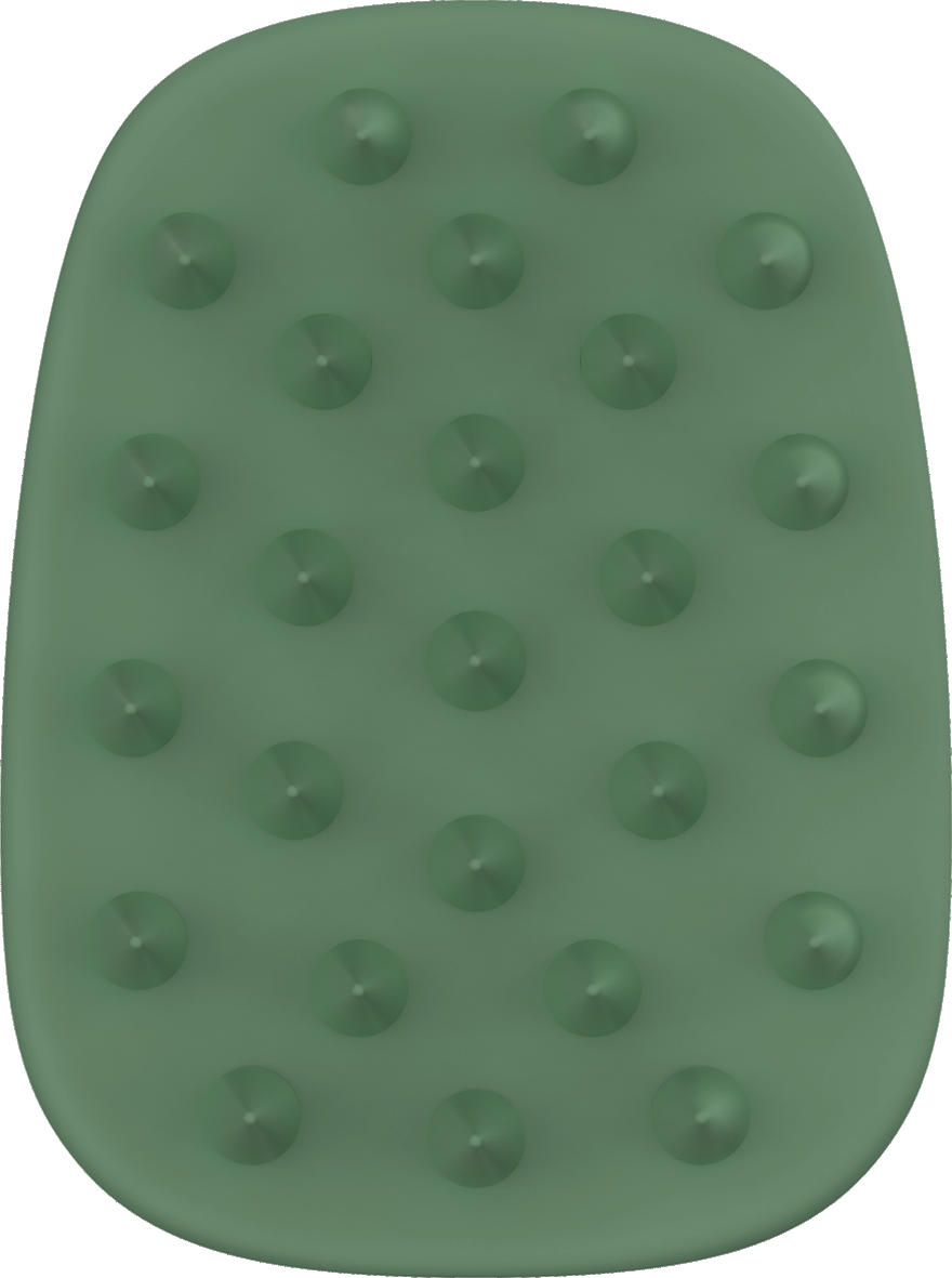 Scalp Massage Brush BX2130