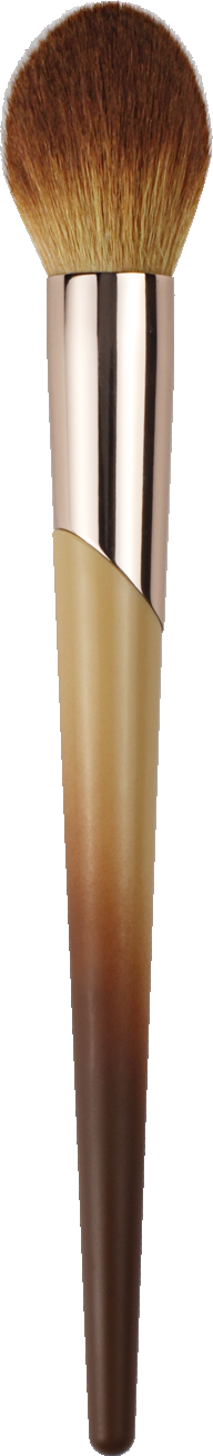 Mekeup Brush Set EN7601