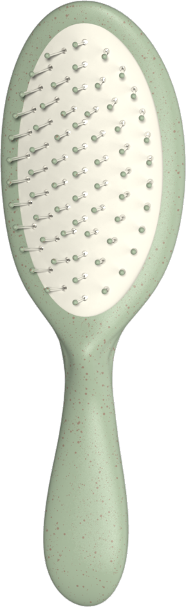 Pcr Eco Brushes PTD2122