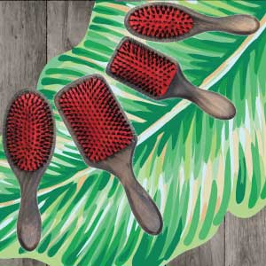 Boar Bristle Brush